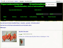 Tablet Screenshot of peperzadenwinkel.be